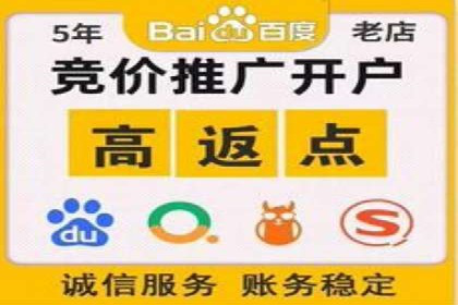 SEM代运营经典案例解析与启示